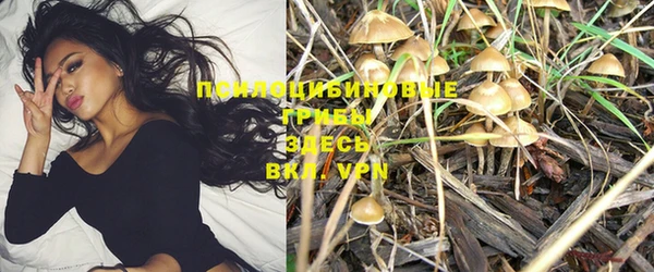 не бодяженный Богородск