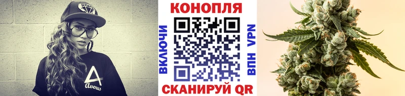 как найти наркотики  Володарск  Канабис MAZAR 